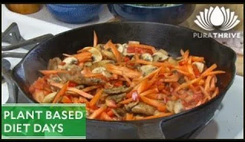 Plant based diet benefits